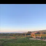 Cabana A 3 Min De La Ola, Punta Lobos